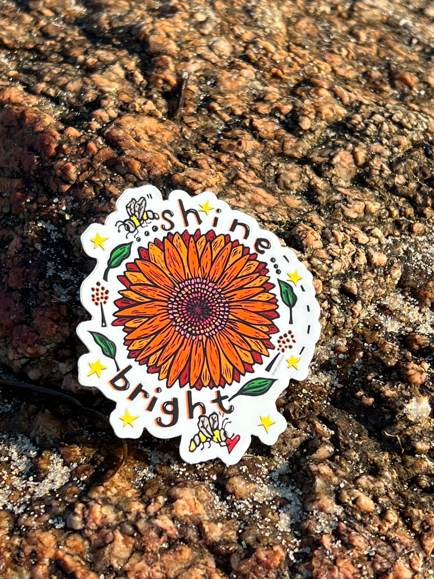 Shine Bright Gerber Daisy flower Sticker Decal