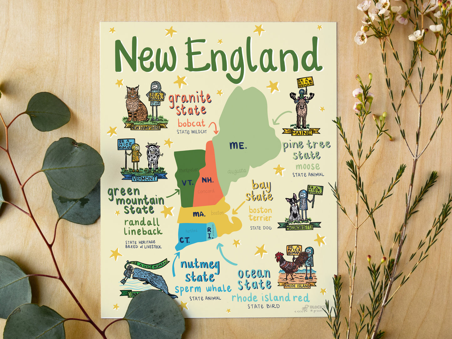 New England Fine Art Print 8 X 10