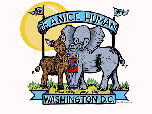 Washington DC Be a Nice Human Sticker Decal