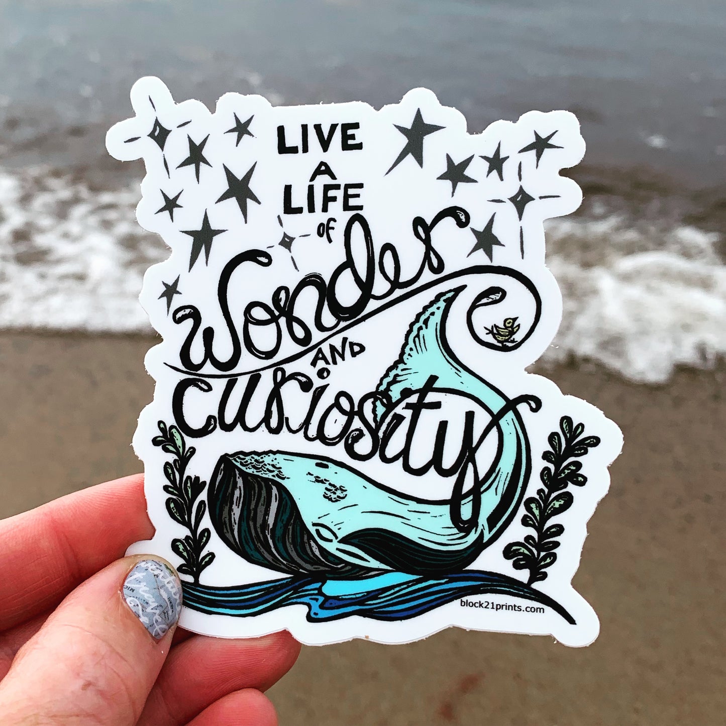 Live a Life of Wonder and Curiosity Whale Sticker Decal